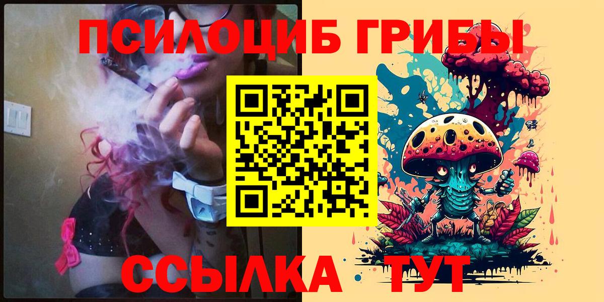 Галлюциногенные грибы Psilocybe Иркутск