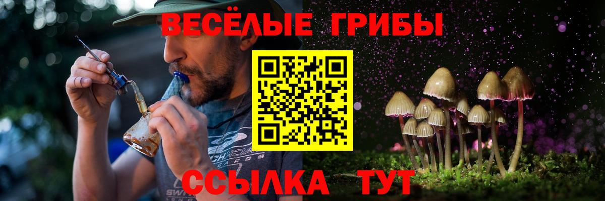 Иркутск  Галлюциногенные грибы GOLDEN TEACHER  где можно купить   Вход с VPN 